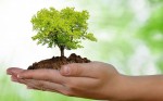 Curso Educao Ambiental e Sustentabilidade / 40 horas