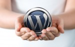 Curso Wordpress / 40 horas