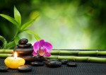 Curso Feng Shui / 50 horas